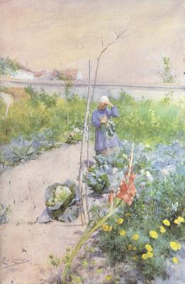 Carl Larsson In the Kitchen Garden (nn2 oil painting image